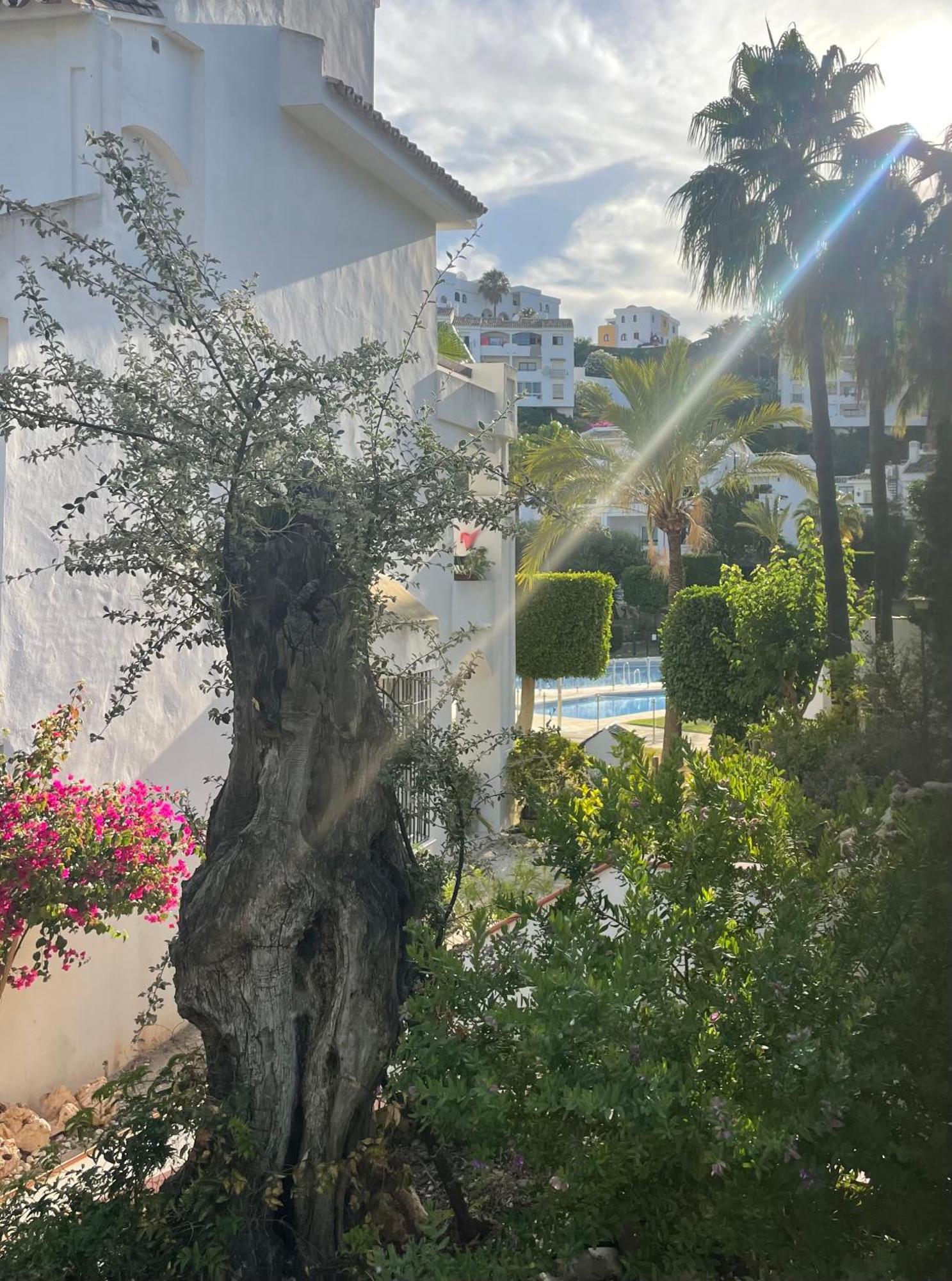 Two Bedroom, Two Bathroom, Balcony, Pool Area, View Appartement